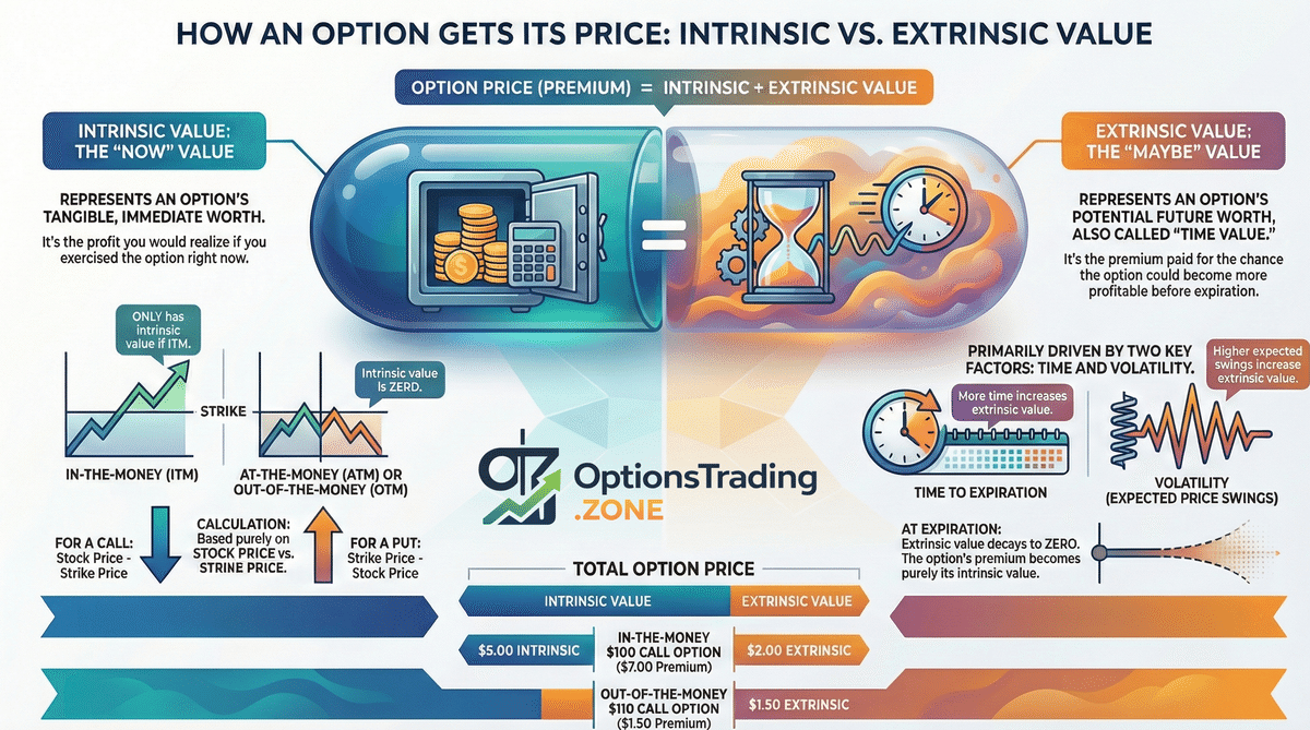How Options Pricing Works: Intrinsic Value vs. Extrinsic Value infographic
